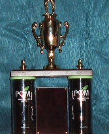 Custom Award — Design It Your Way