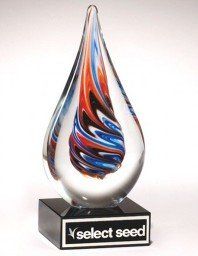 Art Glass Award — Model 1625 — 2.875 X 7.5